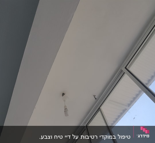 תקרה צבועה בלבן עם נורה תלויה